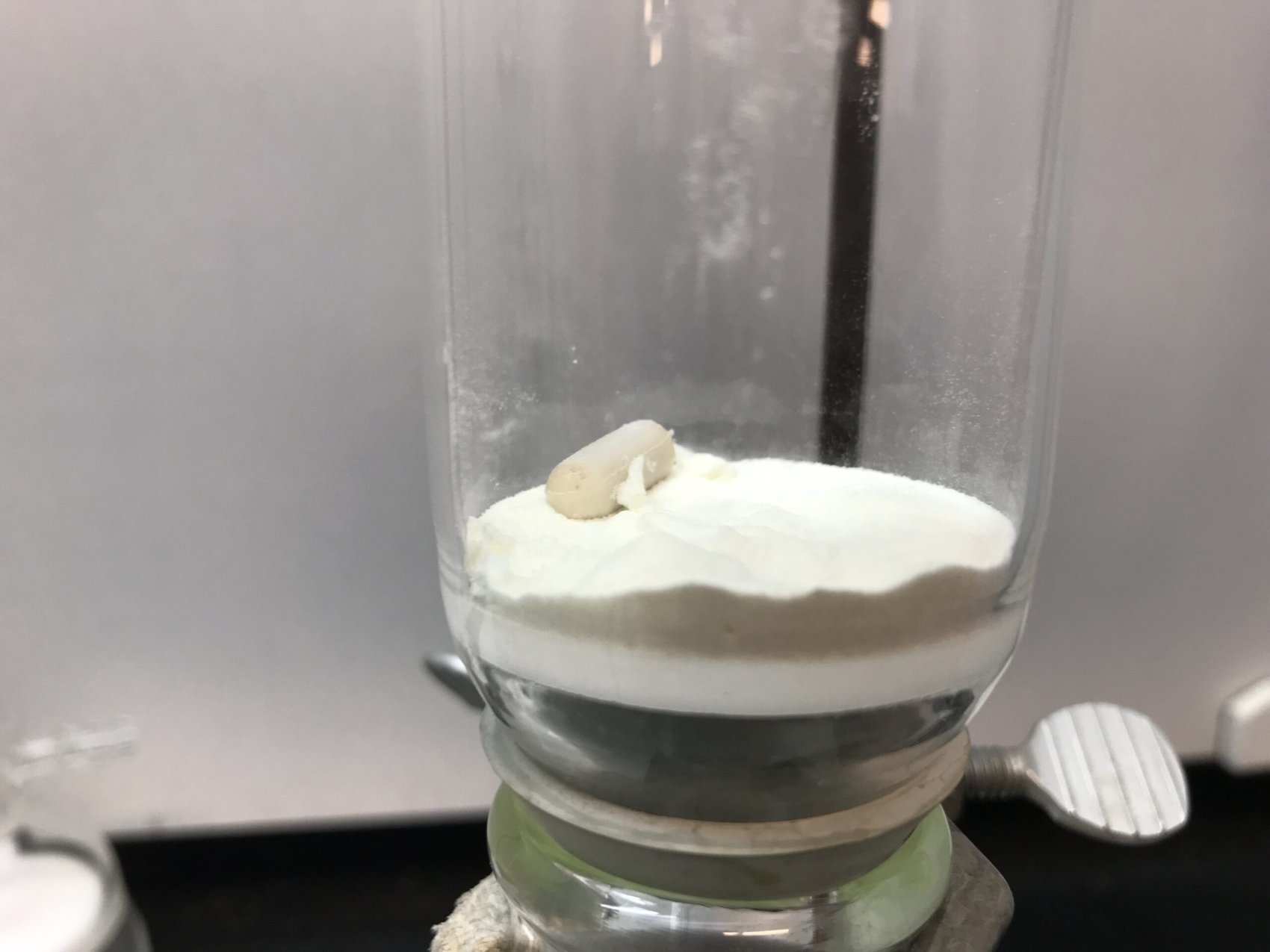 Laboratory synthesis and purification photograph